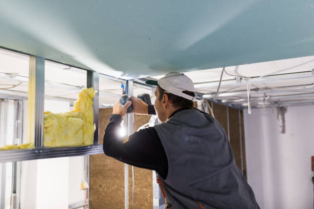 Best Insulation Maintenance and Repair in Mentor On The Lake, OH